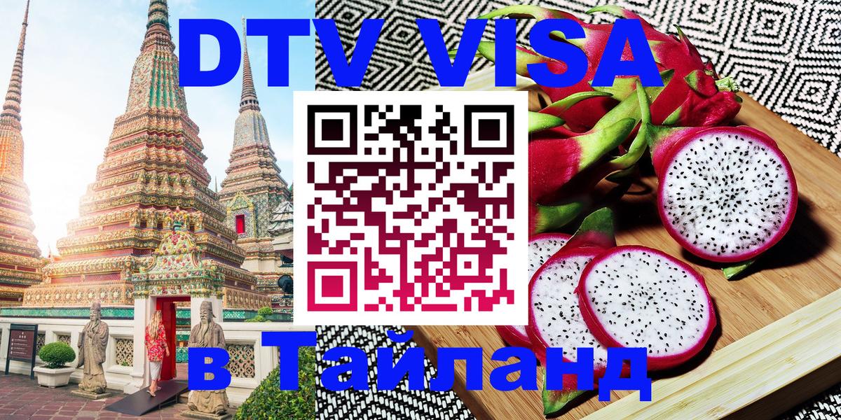 Как сделать DTV визу в Тайланд Шахты 